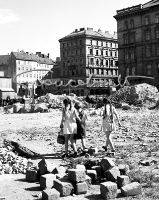 Per le strade di Vienna, 1951